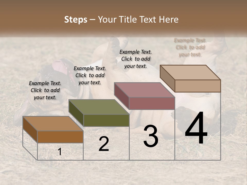 Humor Shows Adorable PowerPoint Template