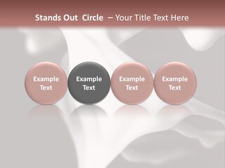 Pan Creme Dessert PowerPoint Template