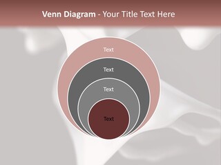 Pan Creme Dessert PowerPoint Template