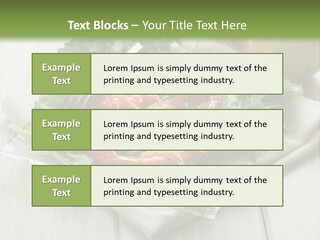 Green Snack Shrimp PowerPoint Template