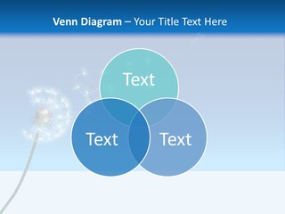 Food Bowl Snack PowerPoint Template