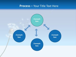 Food Bowl Snack PowerPoint Template