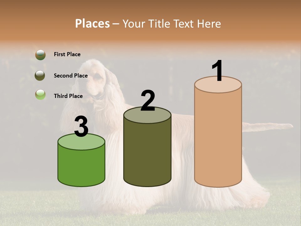 Outdoor American Beauty PowerPoint Template