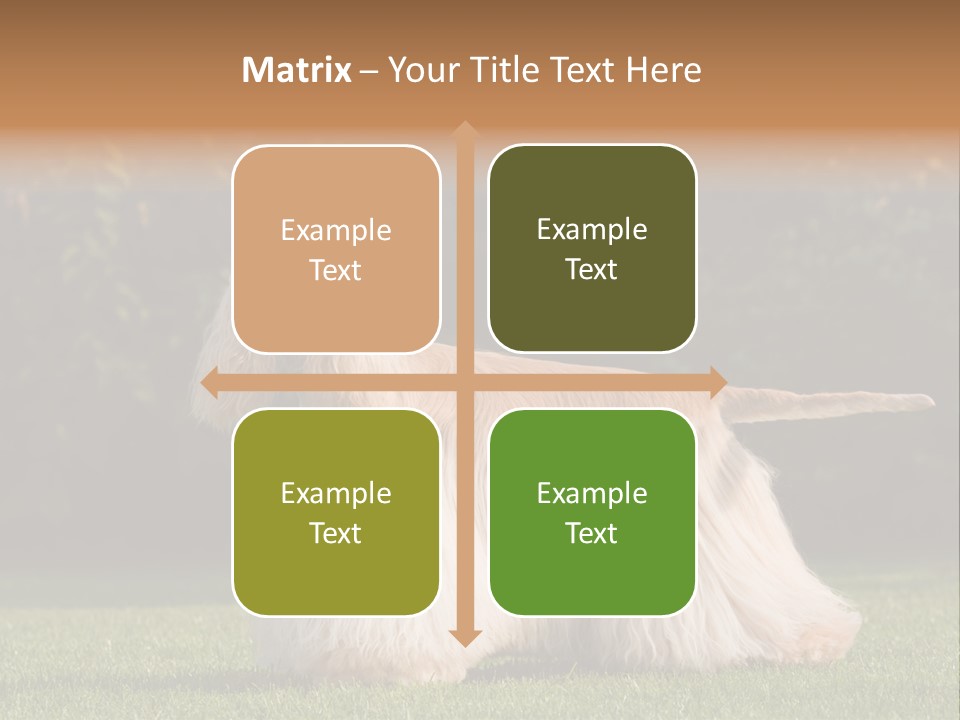 Outdoor American Beauty PowerPoint Template