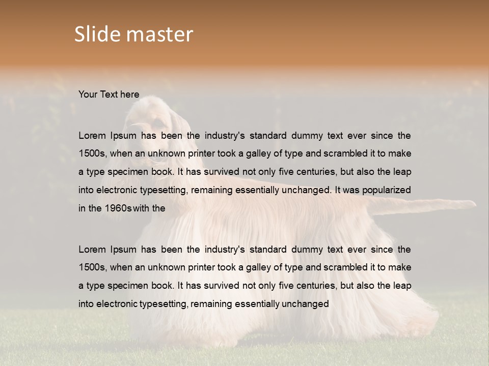 Outdoor American Beauty PowerPoint Template