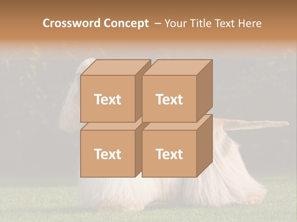 Outdoor American Beauty PowerPoint Template