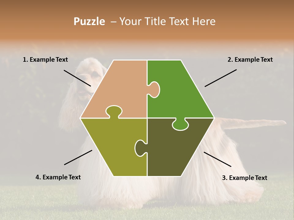 Outdoor American Beauty PowerPoint Template