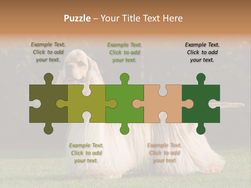 Outdoor American Beauty PowerPoint Template