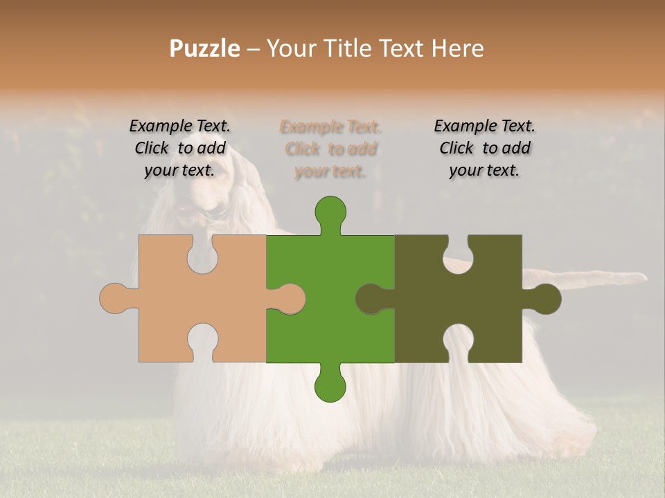 Outdoor American Beauty PowerPoint Template