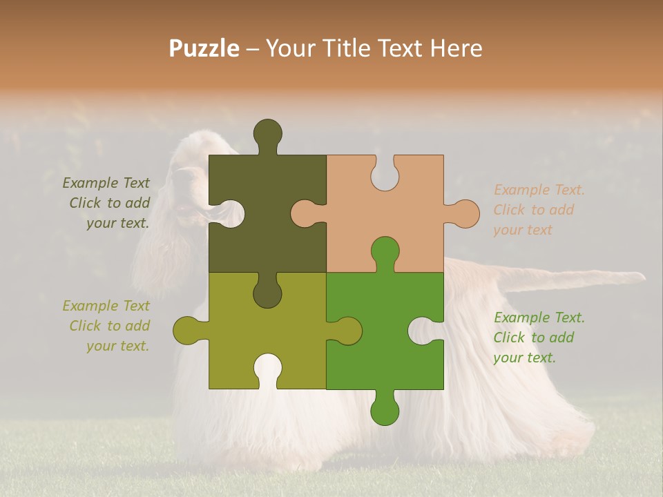 Outdoor American Beauty PowerPoint Template