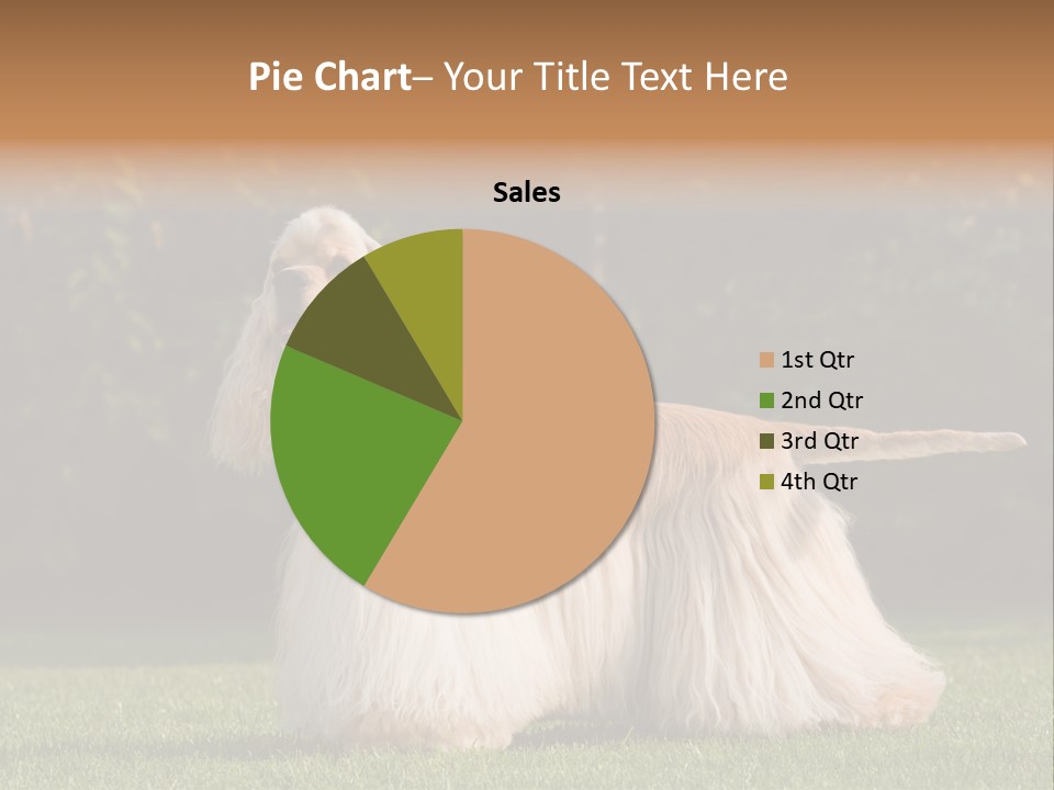 Outdoor American Beauty PowerPoint Template