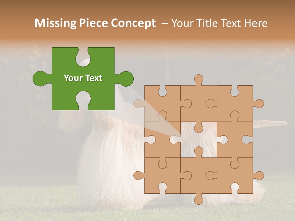 Outdoor American Beauty PowerPoint Template