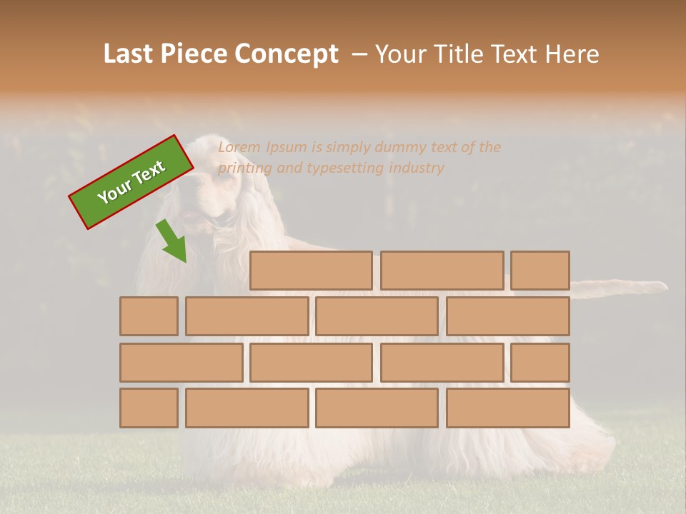 Outdoor American Beauty PowerPoint Template