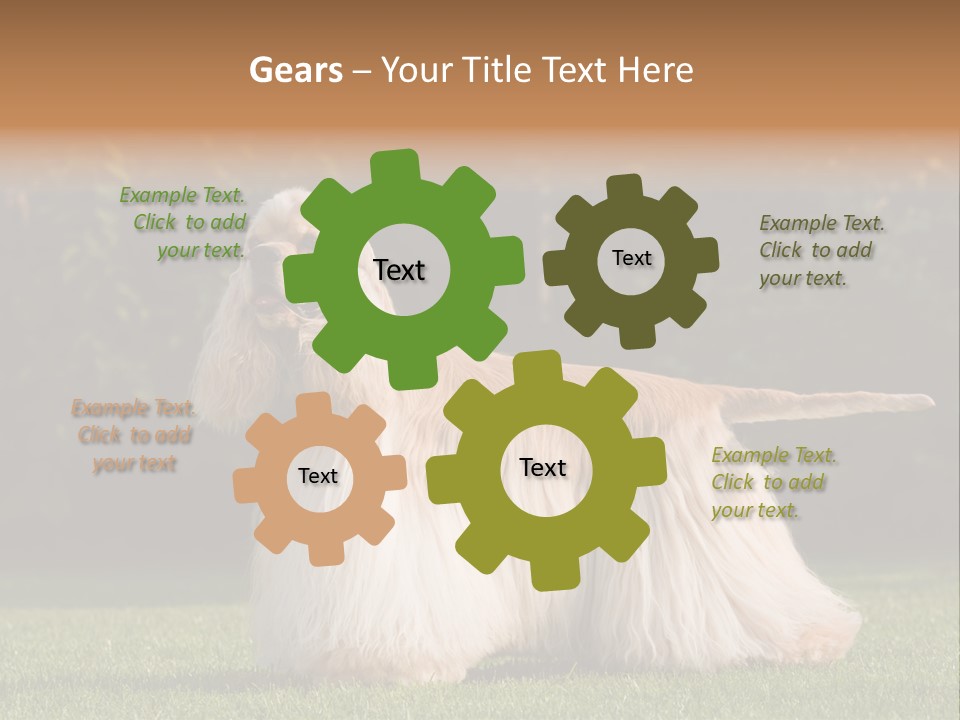 Outdoor American Beauty PowerPoint Template