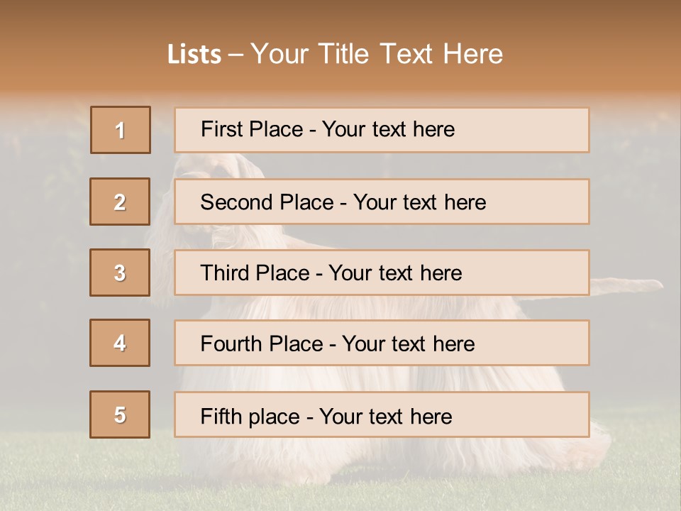 Outdoor American Beauty PowerPoint Template