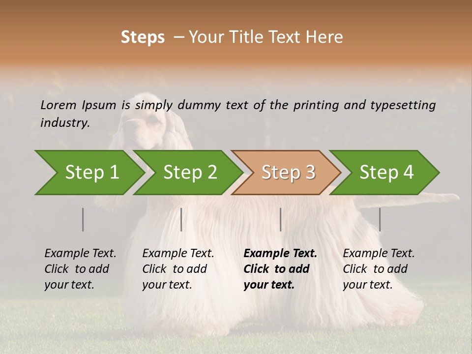 Outdoor American Beauty PowerPoint Template