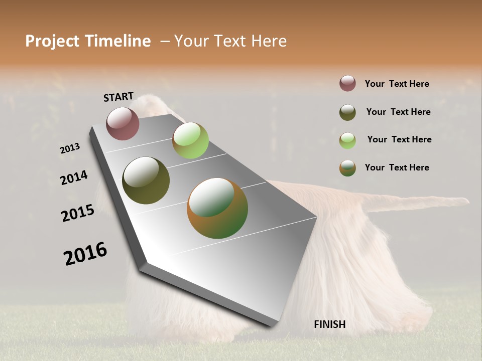 Outdoor American Beauty PowerPoint Template