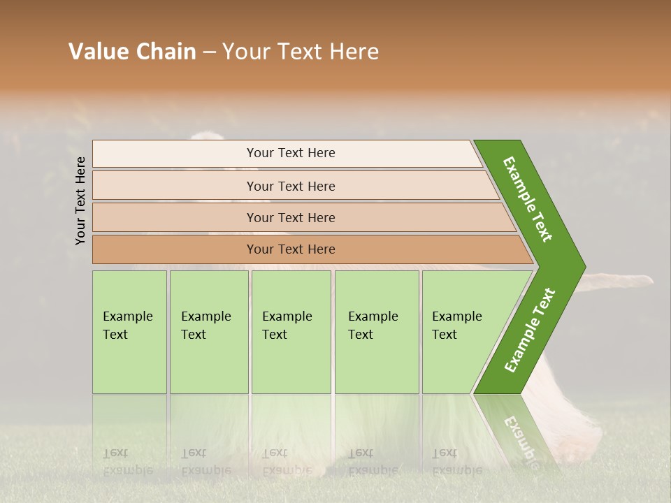 Outdoor American Beauty PowerPoint Template