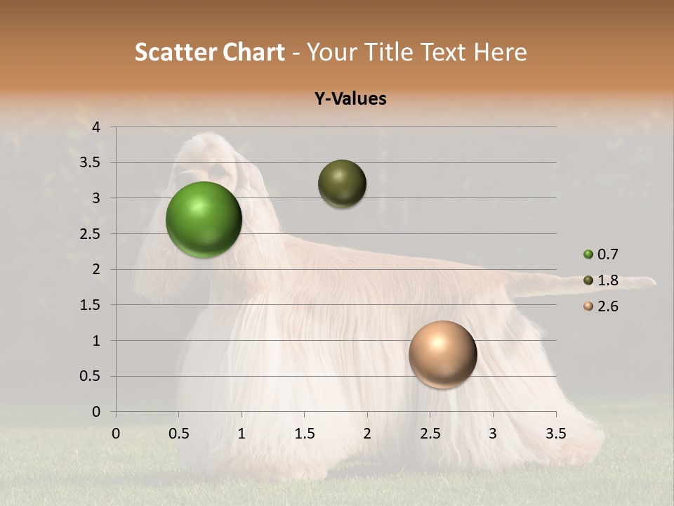 Outdoor American Beauty PowerPoint Template