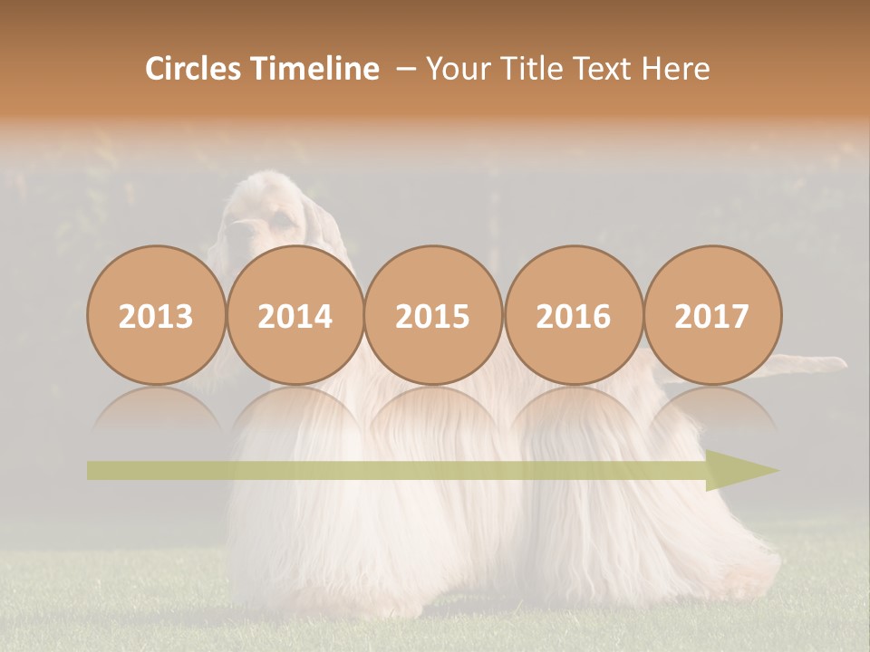 Outdoor American Beauty PowerPoint Template