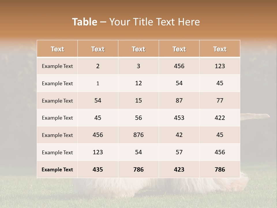 Outdoor American Beauty PowerPoint Template