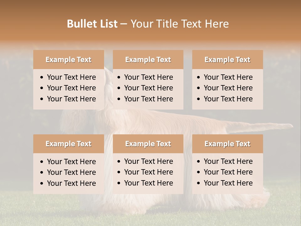 Outdoor American Beauty PowerPoint Template