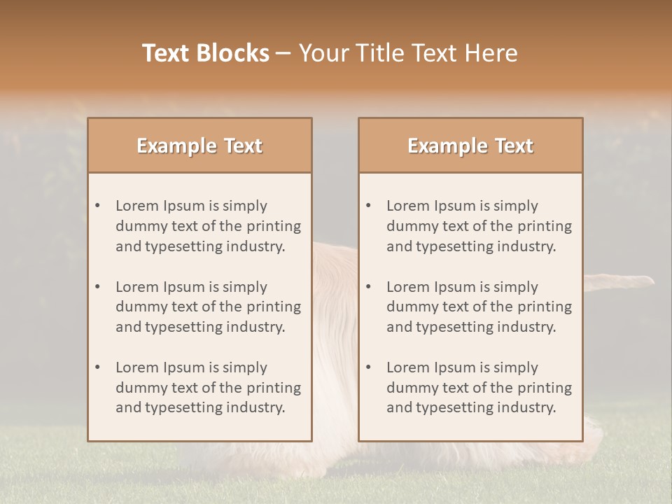 Outdoor American Beauty PowerPoint Template