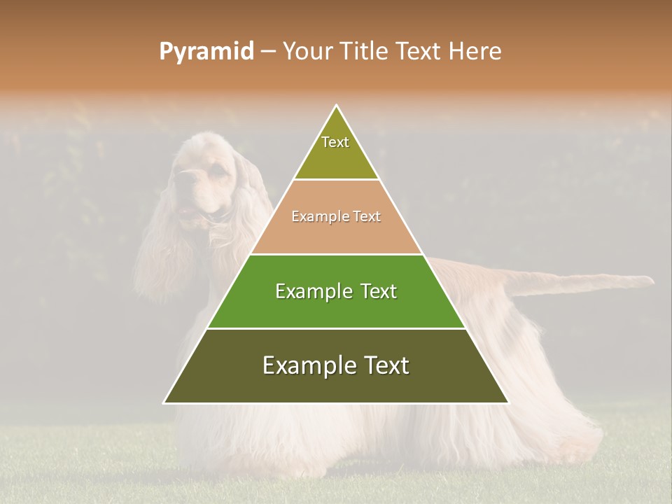 Outdoor American Beauty PowerPoint Template