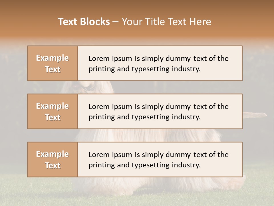 Outdoor American Beauty PowerPoint Template