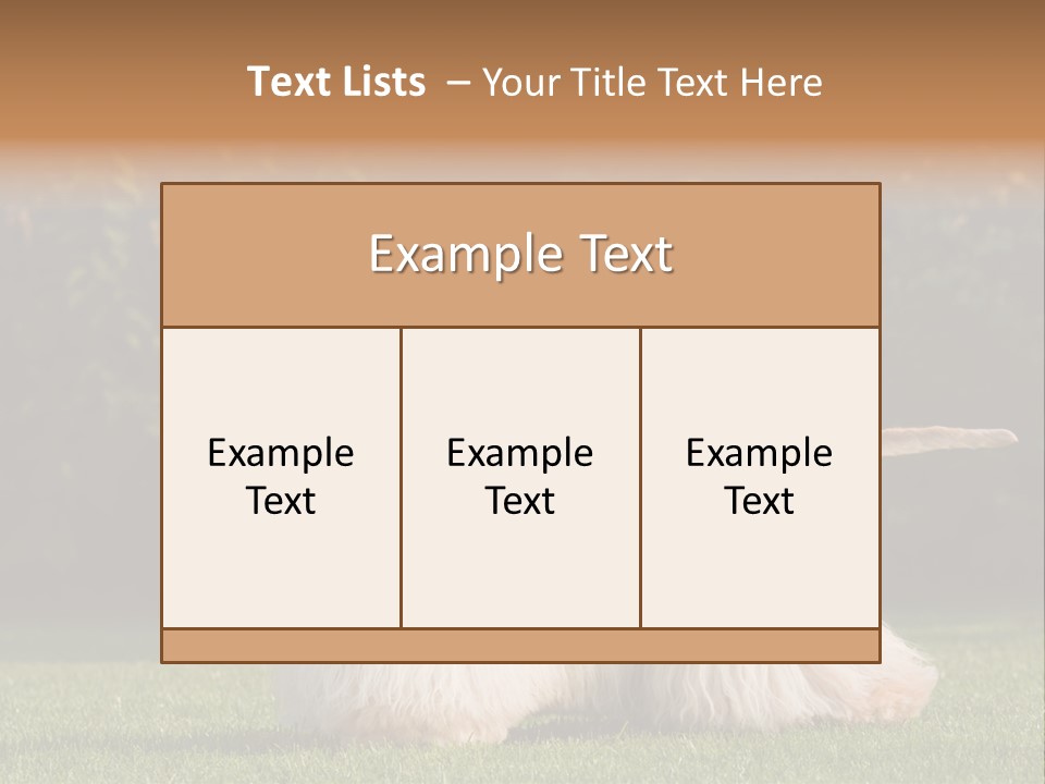 Outdoor American Beauty PowerPoint Template