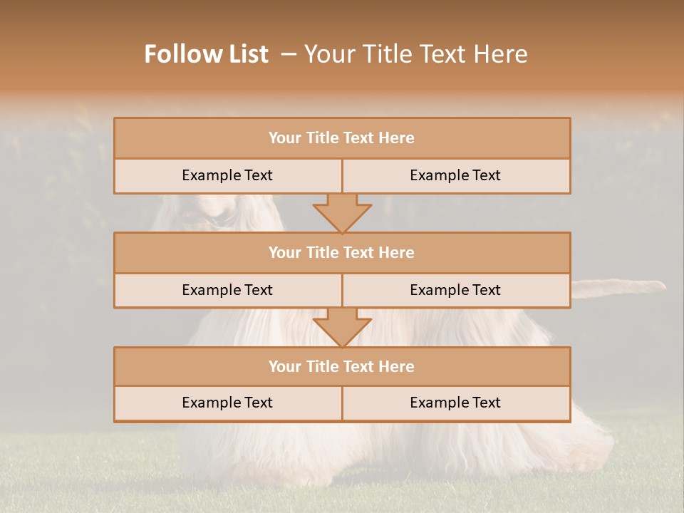 Outdoor American Beauty PowerPoint Template