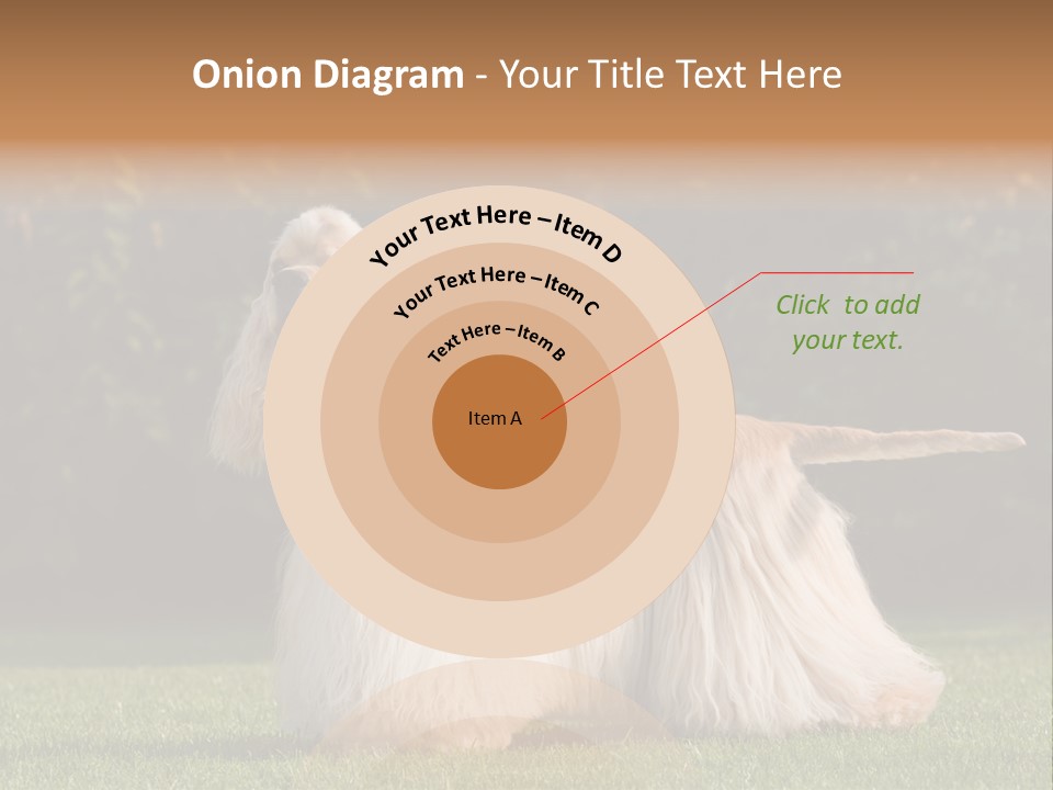 Outdoor American Beauty PowerPoint Template