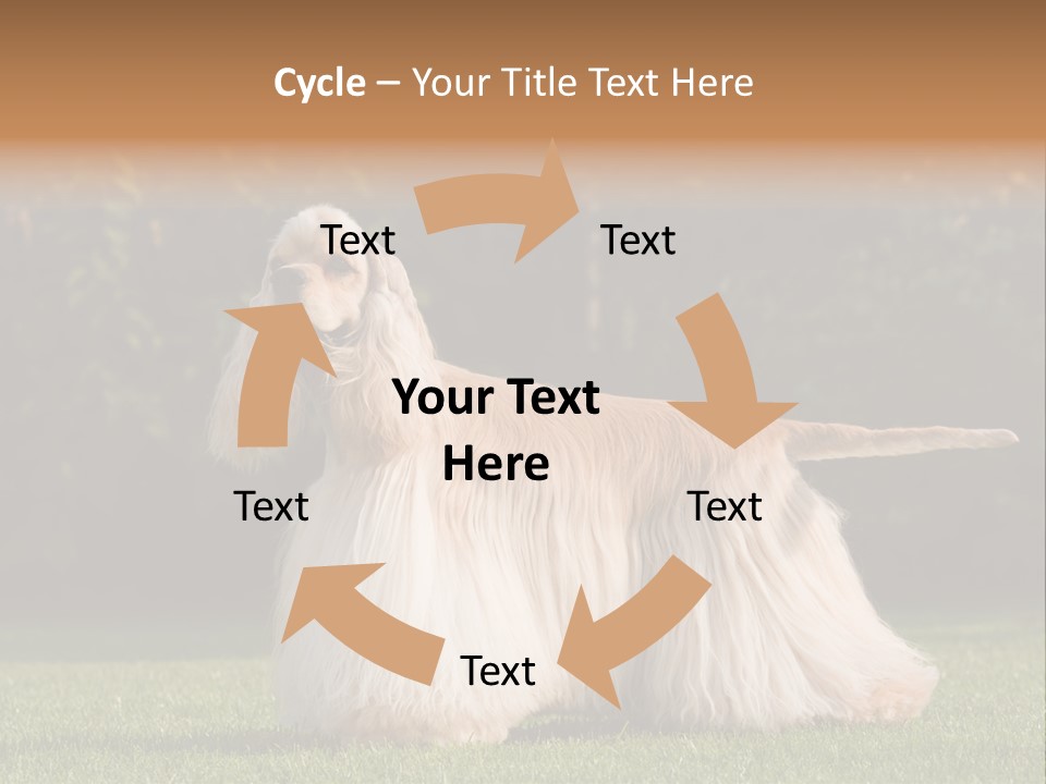 Outdoor American Beauty PowerPoint Template