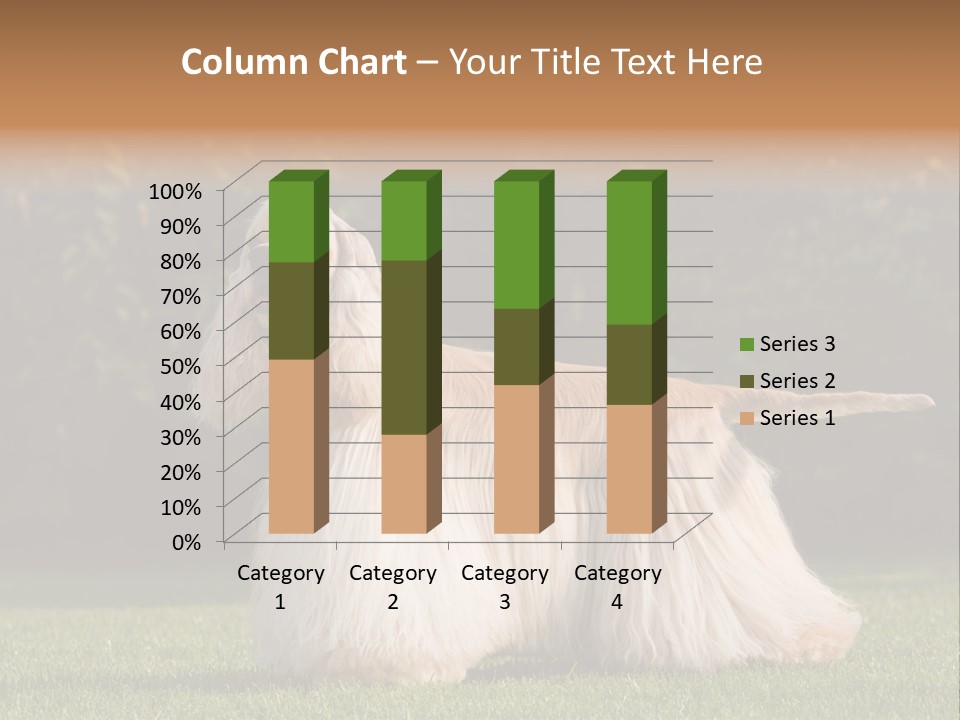 Outdoor American Beauty PowerPoint Template