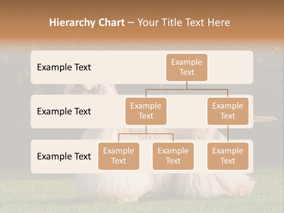 Outdoor American Beauty PowerPoint Template