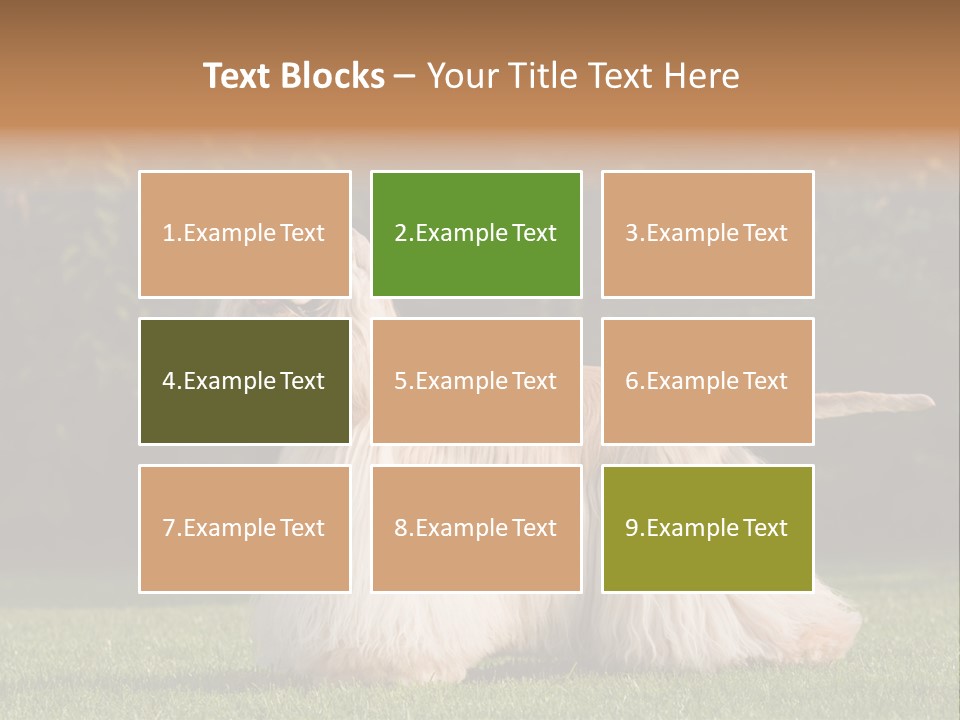 Outdoor American Beauty PowerPoint Template