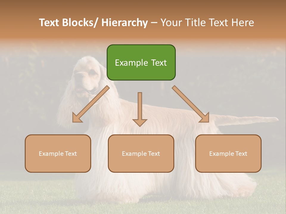 Outdoor American Beauty PowerPoint Template