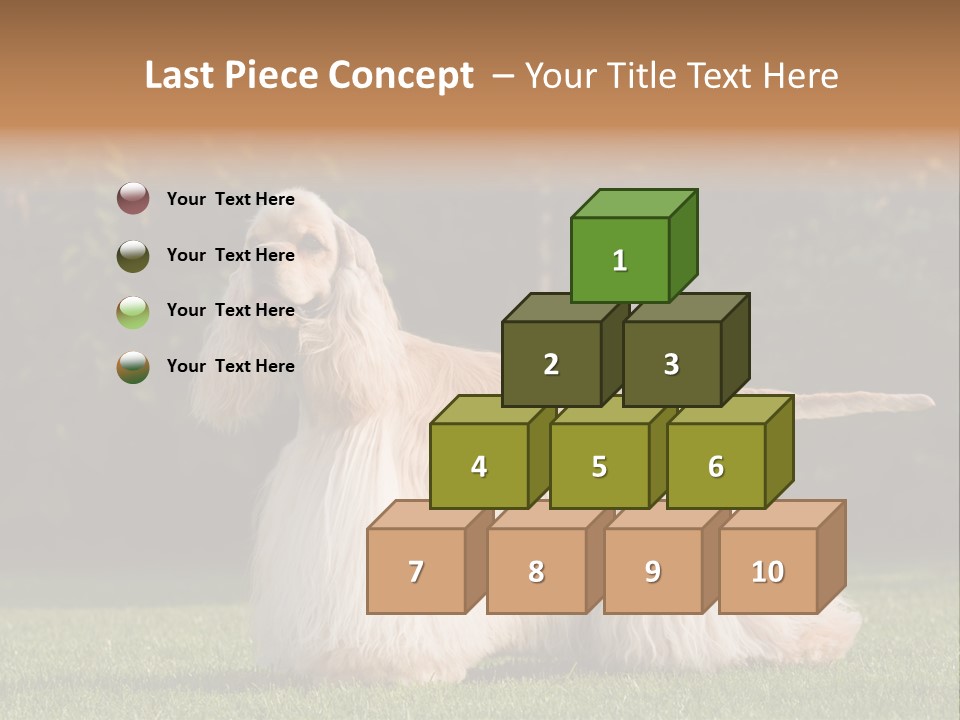 Outdoor American Beauty PowerPoint Template