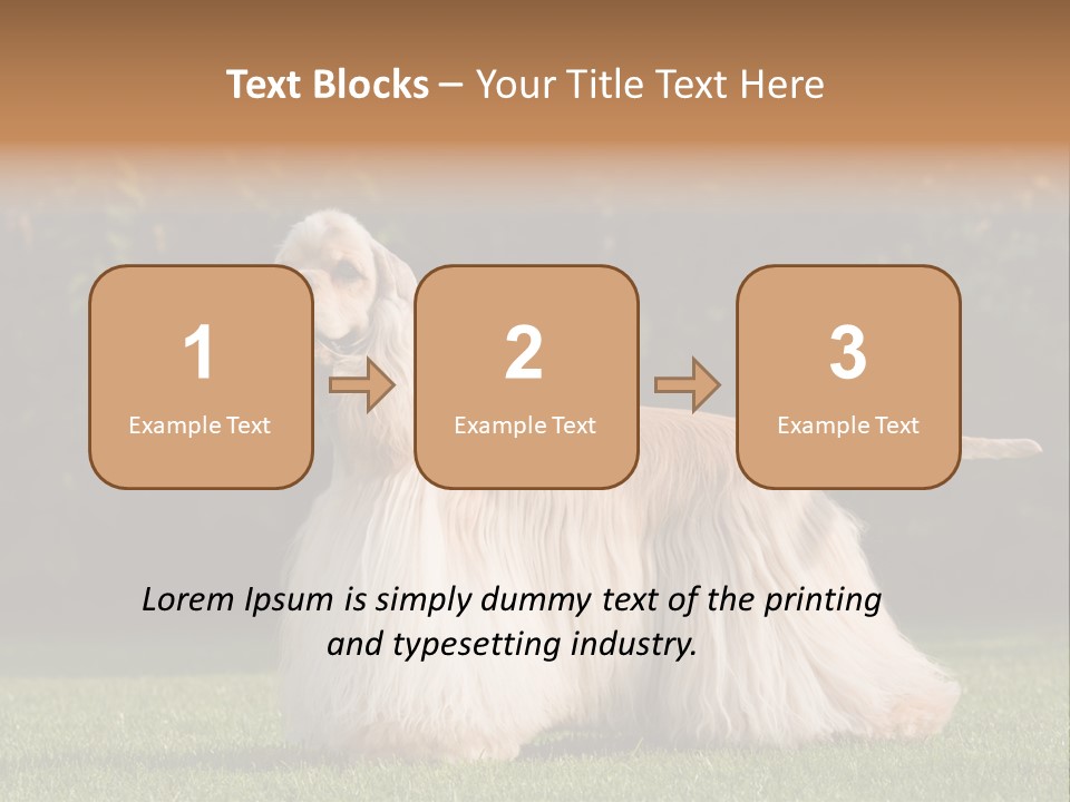 Outdoor American Beauty PowerPoint Template