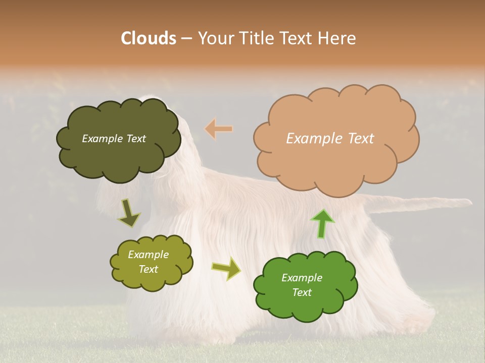 Outdoor American Beauty PowerPoint Template
