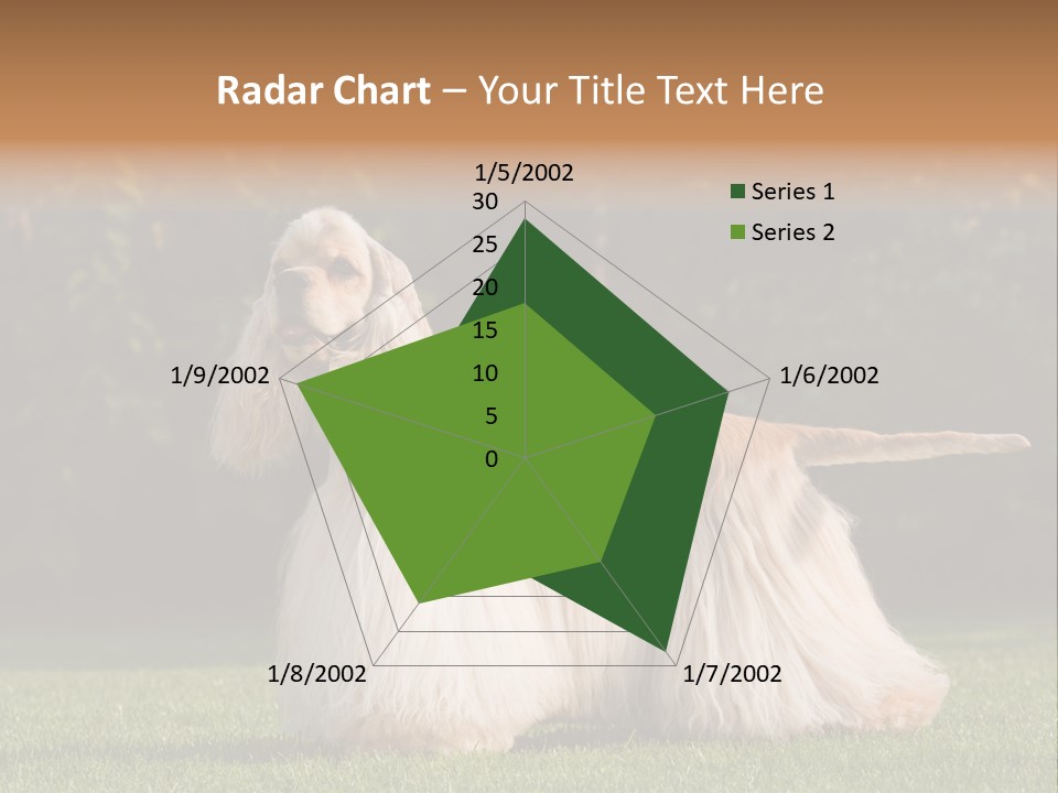 Outdoor American Beauty PowerPoint Template