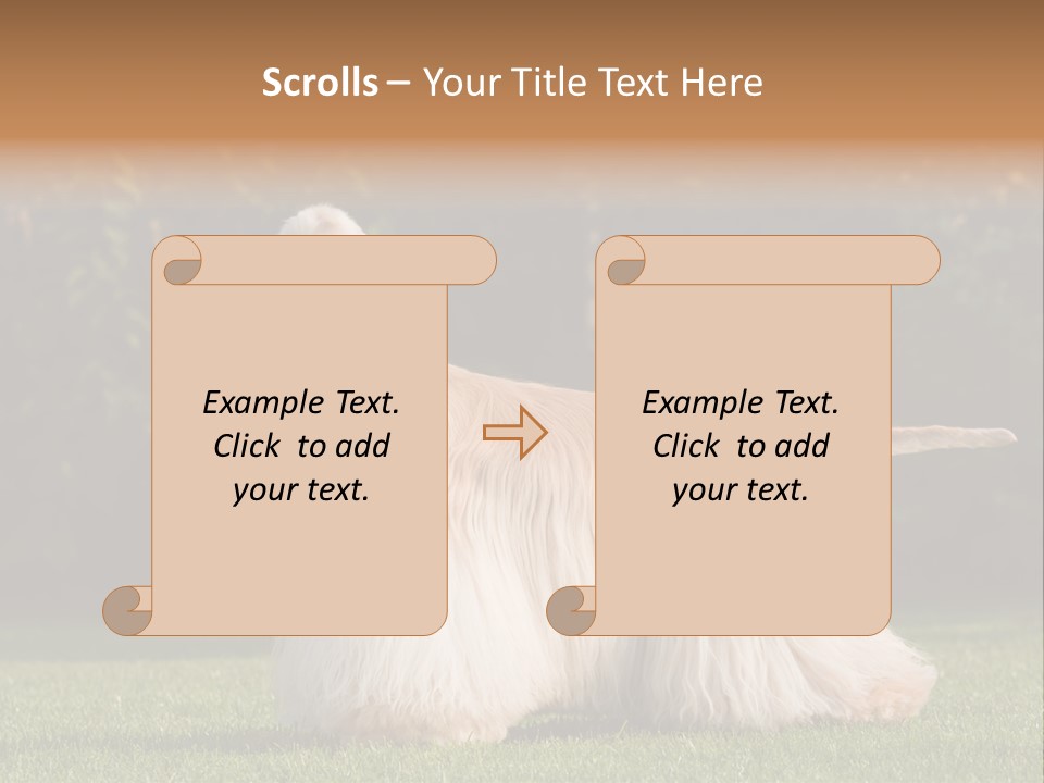 Outdoor American Beauty PowerPoint Template