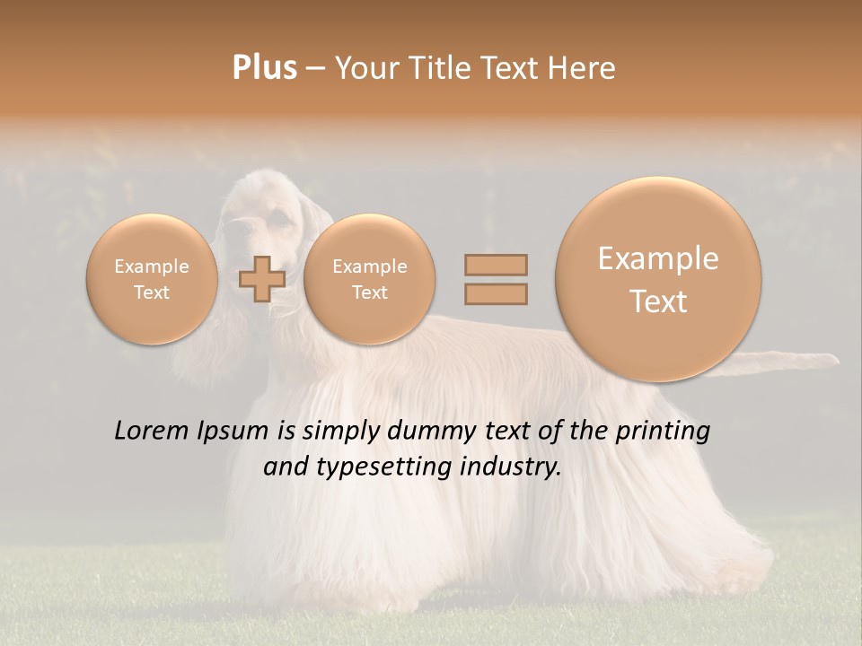 Outdoor American Beauty PowerPoint Template