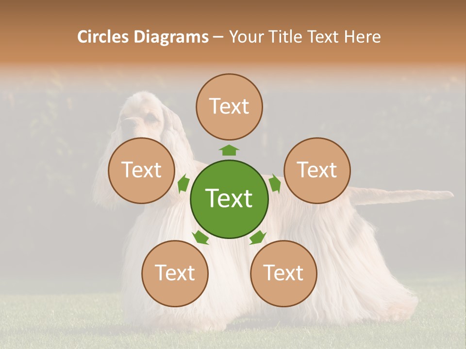 Outdoor American Beauty PowerPoint Template