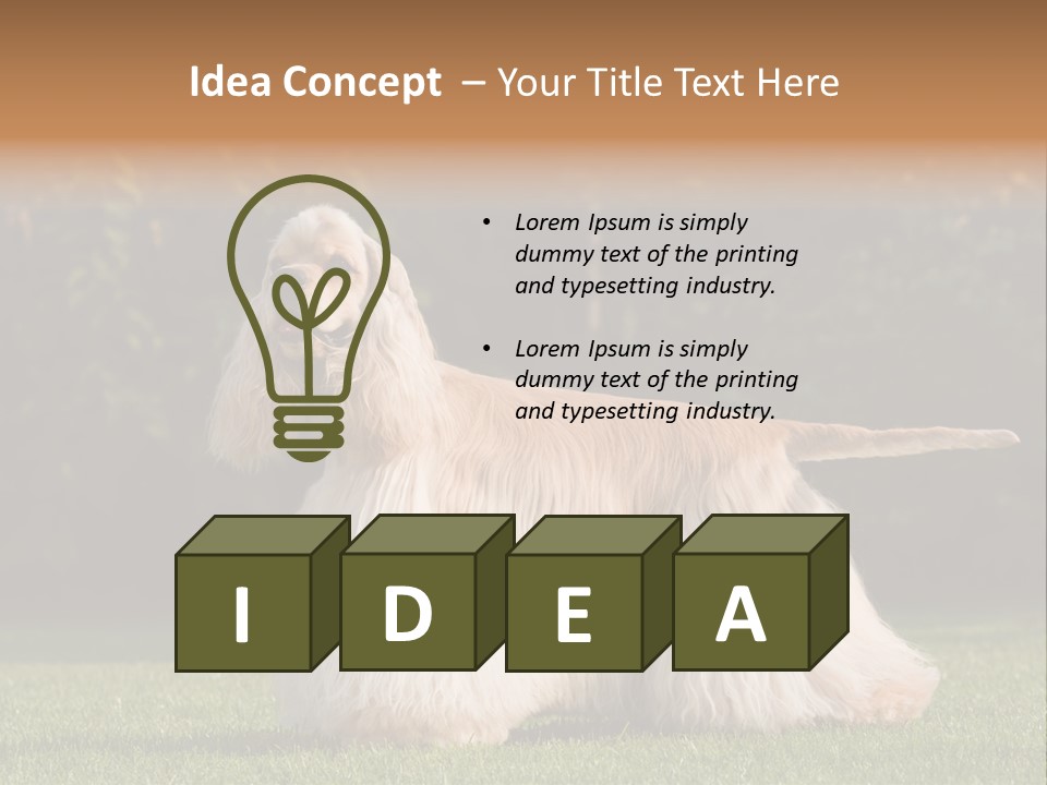 Outdoor American Beauty PowerPoint Template