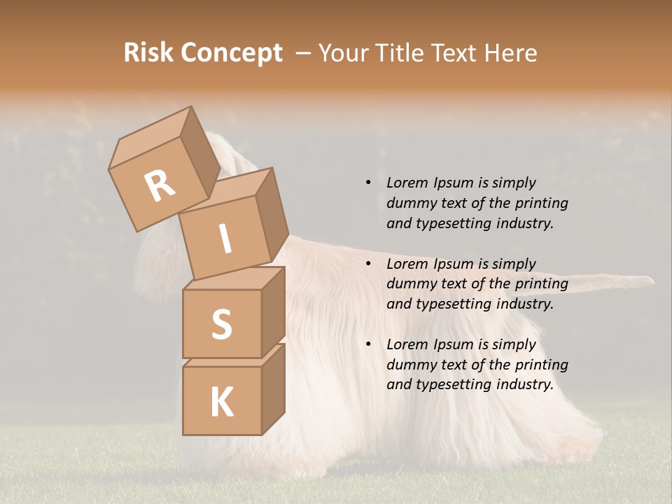 Outdoor American Beauty PowerPoint Template