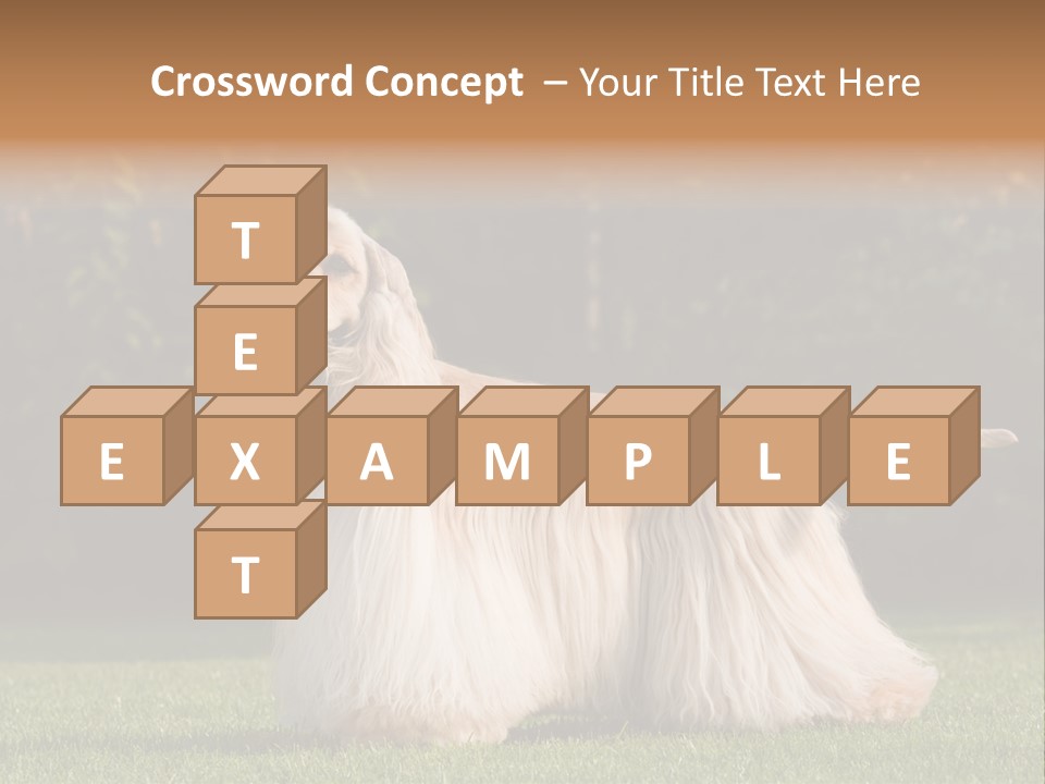 Outdoor American Beauty PowerPoint Template