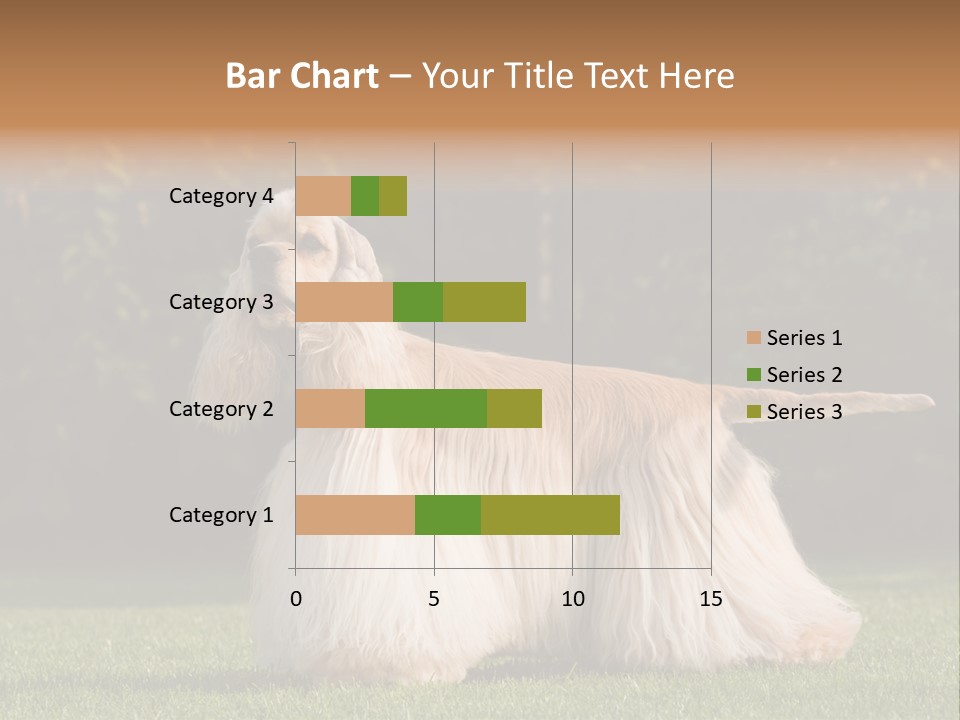Outdoor American Beauty PowerPoint Template