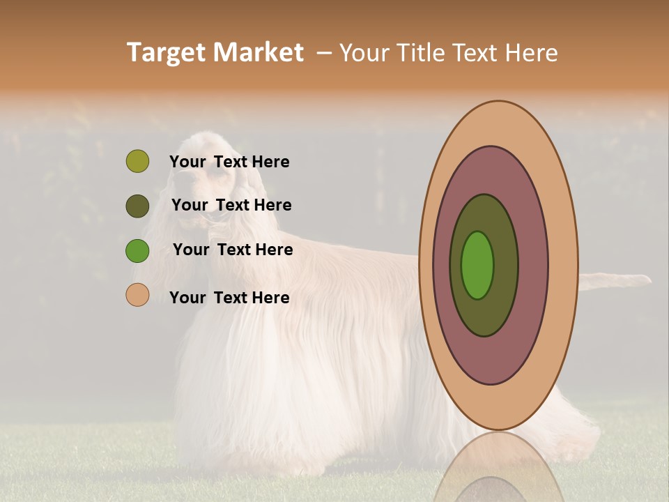 Outdoor American Beauty PowerPoint Template