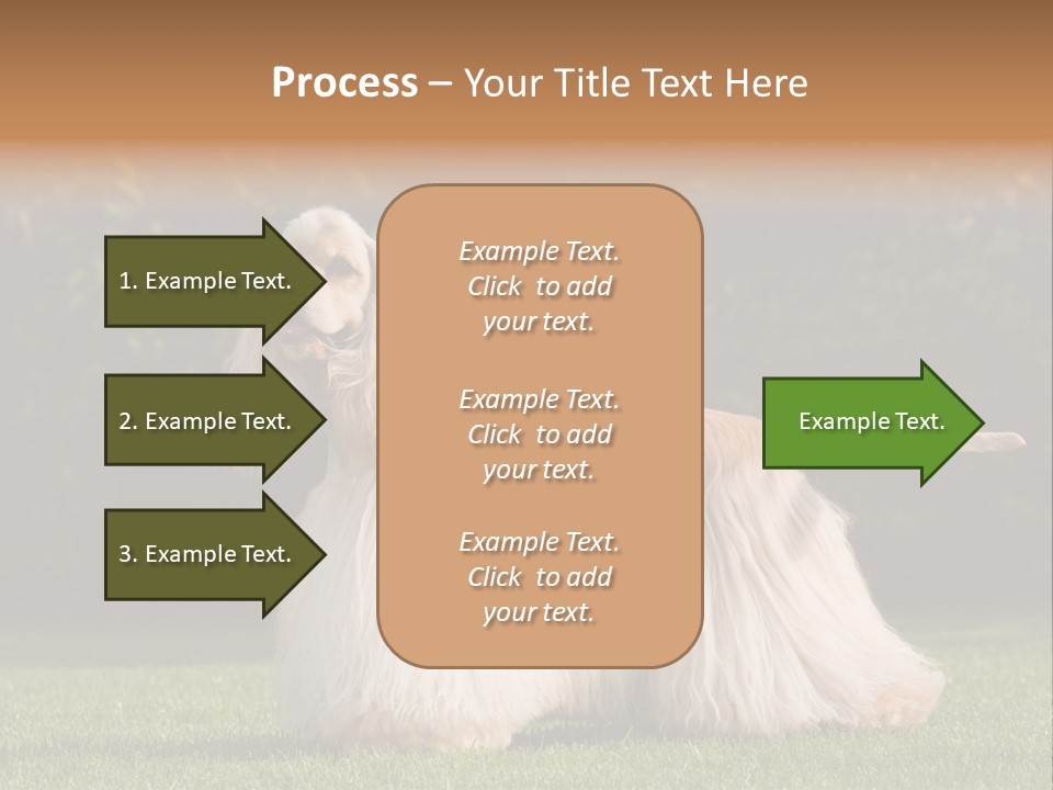 Outdoor American Beauty PowerPoint Template